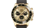 Daytona Cosmograph Limoncello oysterflex